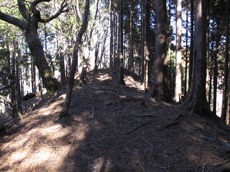 20190121hike (110)